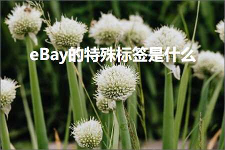 跨境电商知识:eBay的特殊标签是什么